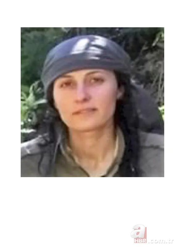 Tunceli'de PKK'ya büyük darbe! İşte operasyon görüntüleri 5