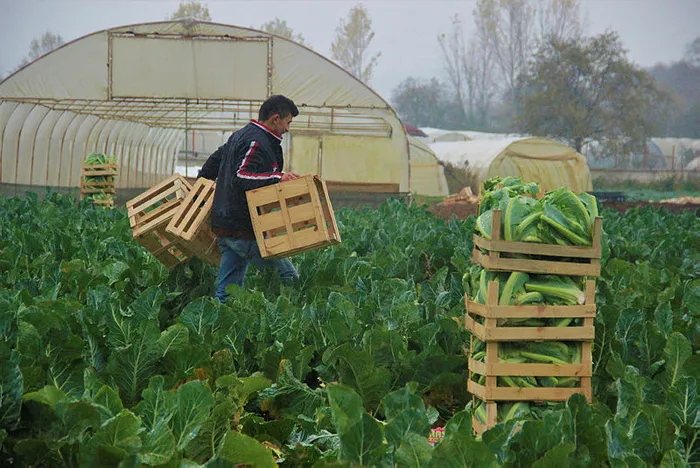 Son dakika: Tarım ve Orman Bakanlığı açıkladı: 100 bin TL’ye kadar hibe! Başvuru için 15 Mart son gün