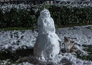 İstanbul’a beklenen kar geldi...