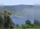 Sultangazi’de kent ormanında yangın