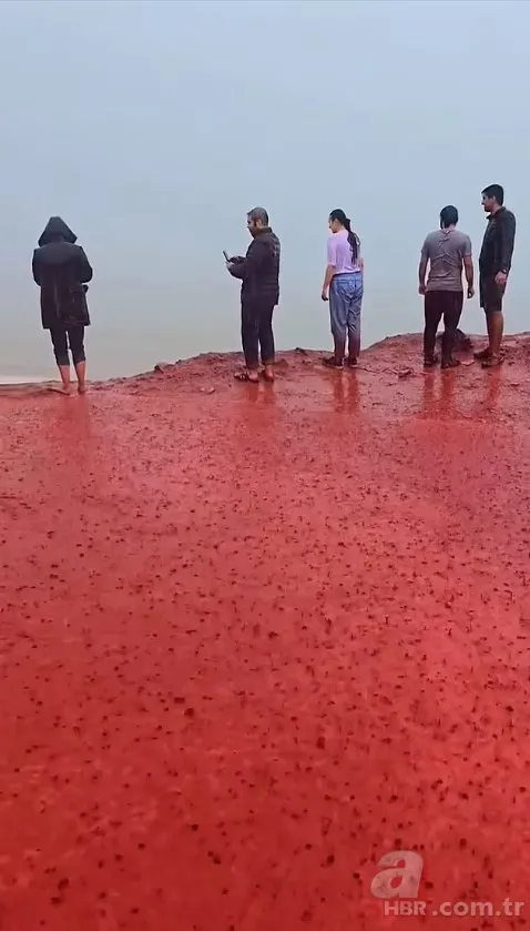 İran’da ‘Kan Yağmuru’: Sahil kırmızıya boyandı! 5