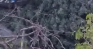 Ankara’da etkili olan rüzgar konterner evi devirdi! 1 kişi öldü