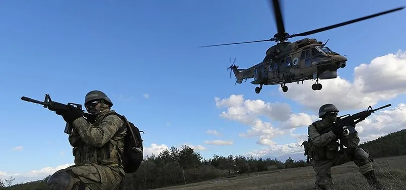 Hakkari ve Şırnak'ta 13 terörist etkisiz hale getirildi
