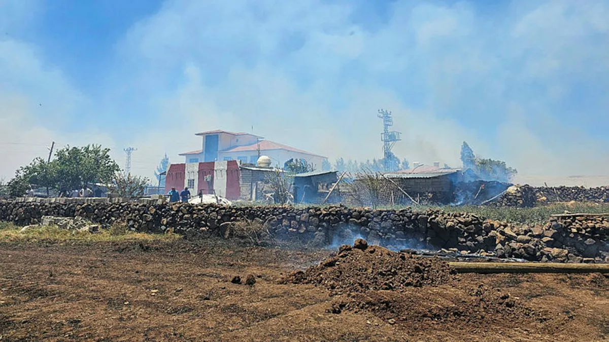 Mardin'in 5 ilçesinde anız ve örtü yangınları