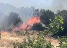 Çanakkaledeki orman yangını söndürüldü
