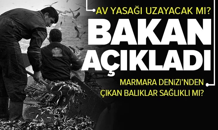 SON DAKİKA | Marmara Denizi’nden çıkan balıklar sağlıklı mı? Av yasağı uzayacak mı? Bakan Bekir Pakdemirli’den önemli açıklama