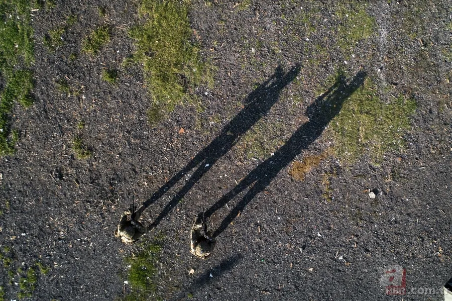 SAT komandolarının nefes kesen eğitimi! SAT komandolarının görevi nedir? 23