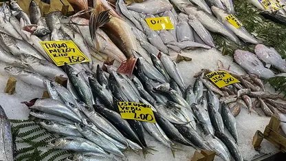 Kocaeli'de balık tezgahlarındaki son durum