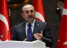 Bakan Çavuşoğlu: Fransa propaganda yapıyor...