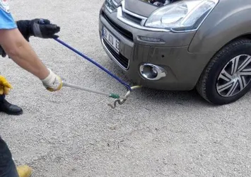 Sel suları yılanları kent merkezine taşıdı