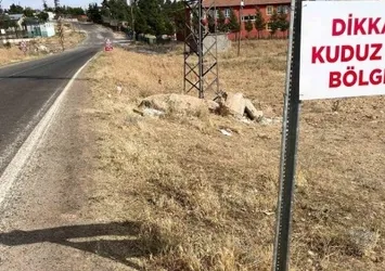 O ilimizde mahalleler diken üstünde! 4 bölge karantinaya alındı