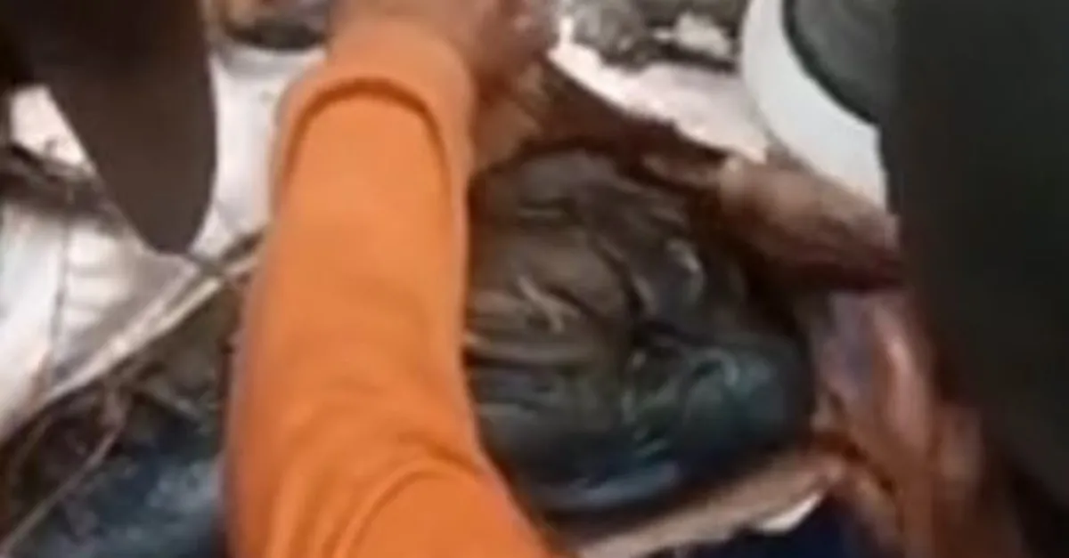 Dev piton yaşlı kadını canlı canlı yuttu!