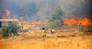 Aşırı sıcakta ’ateşsiz piknik’ önerisi
