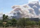 Son dakika: Çanakkale Gelibolu yarımadasında orman yangını: Bir köy tahliye edildi