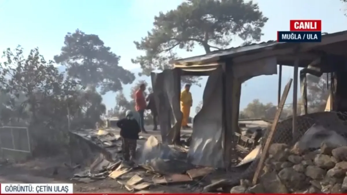 Muğla’da orman yangını! A Haber bölgede