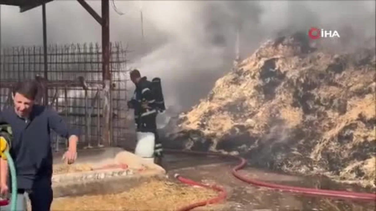 Edirne'de samanlar ve çeltikler küle döndü