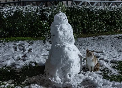 İstanbul’a beklenen kar geldi...