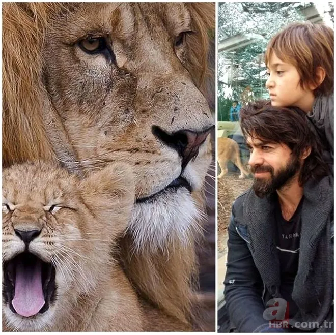 Arka Sokaklar'ın yıldızlarıydı! Gamze Özçelik'in eşi Uğur Pektaş'ın şimdi bambaşka bir hayatı var 15