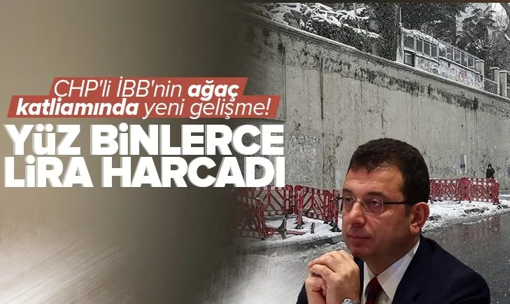 CHP’li İBB’nin ağaç katliamında yeni gelişme! Yüz binlerce lira harcadı