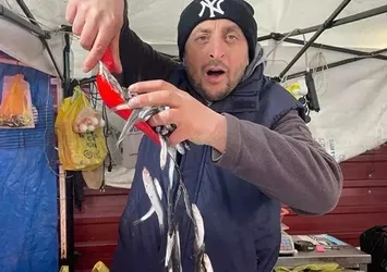 Hamsi yüzleri güldürdü! Kilosu 150 TL'ye indi