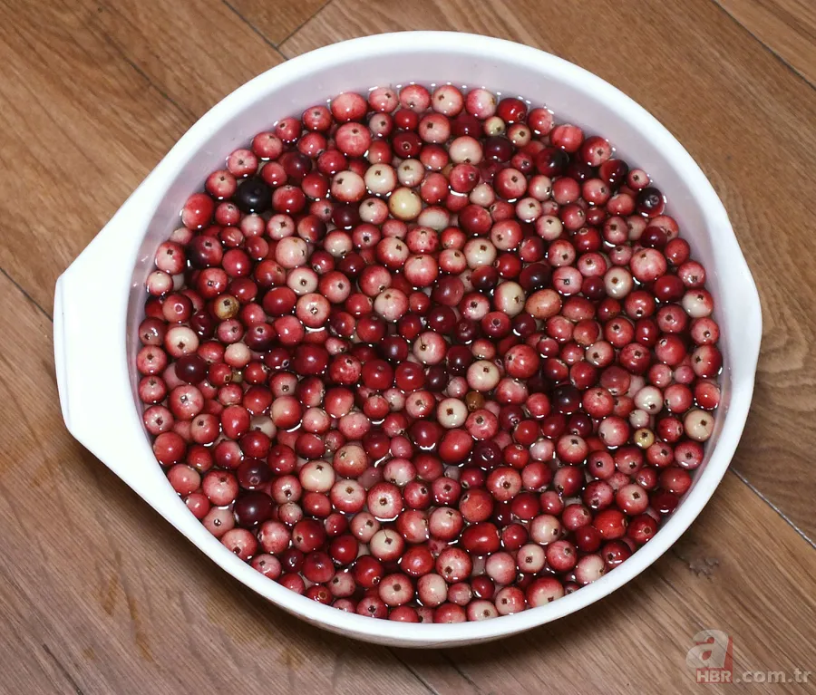 Osmanlı mutfağının şifa kaynağı! Kızılcık etkisi: C vitamini, antioksidan zengini 2