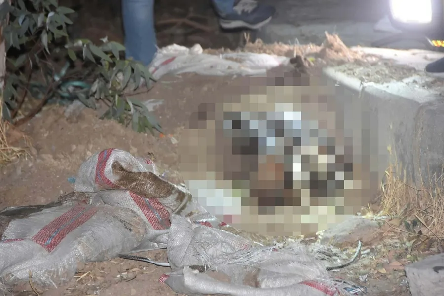 bodrumdaki-is-insani-cinayetinde-karar-1775910474286.jpeg Fotoğraf: DHA