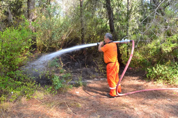 Son dakika: Manavgat’ta ormanı yakarken suçüstü yakalandı!