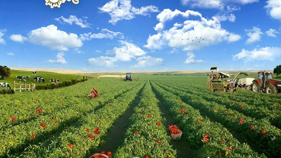 Az sermayeyle çok kazanç