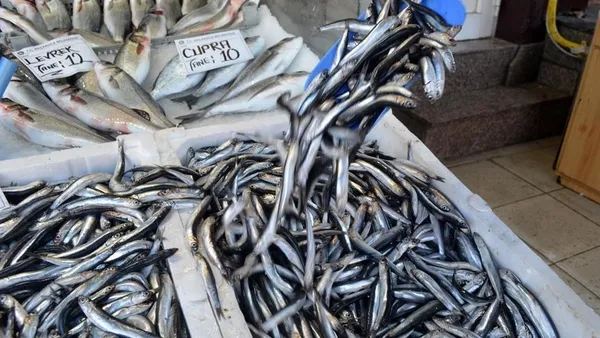 Hamsi istavrit ve sardalyalarda dökme avcılık yasaklandı! Tarım ve Orman Bakanlığından son dakika açıklaması