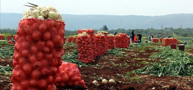 Bazı sebzelerin ambalajlama standartlarında değişiklik