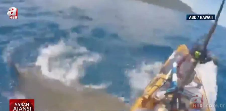 Balık tutan adama köpek balığı saldırdı! Korkunç anlar kamerada 4