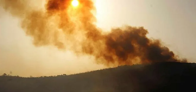 Bakanlardan orman yangınlarıyla mücadeleye ilişkin canlı yayında son dakika açıklamaları