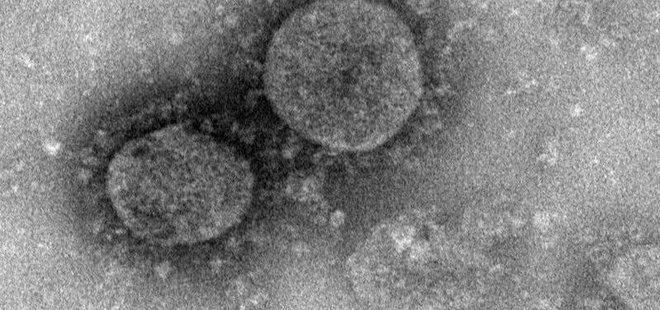 Sağlık uzmanları: Koronavirüsteki değişi salgının sonu olabilir ama tedbiri elden bırakmayalım