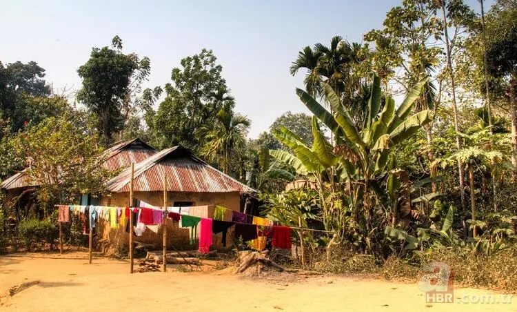 Bilim insanları şaşkın! Uzayın sırrını çözdüler... 24