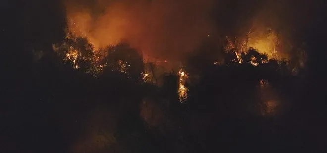 Antalya'da ırmak kenarında yangın paniği! Böğürtlen ve çalılık alan tutuştu