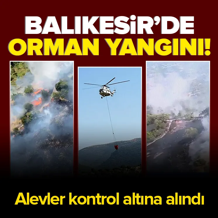 Balıkesir’de orman yangını!