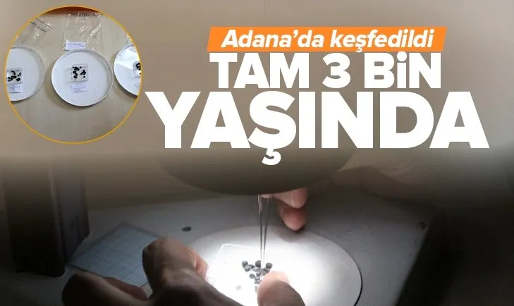 Adana’da önemli keşif! Misis Antik Kentinde 3 bin yıllık tohum bulundu