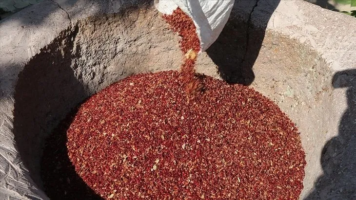 Bağışıklığı güçlendiriyor! Canan Karatay tarifini verdi! Her bardağında şifa saklı! Osmanlı Padişahları....