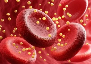 Sabit olmayan kolesterol seviyesi demans riskini artırıyor