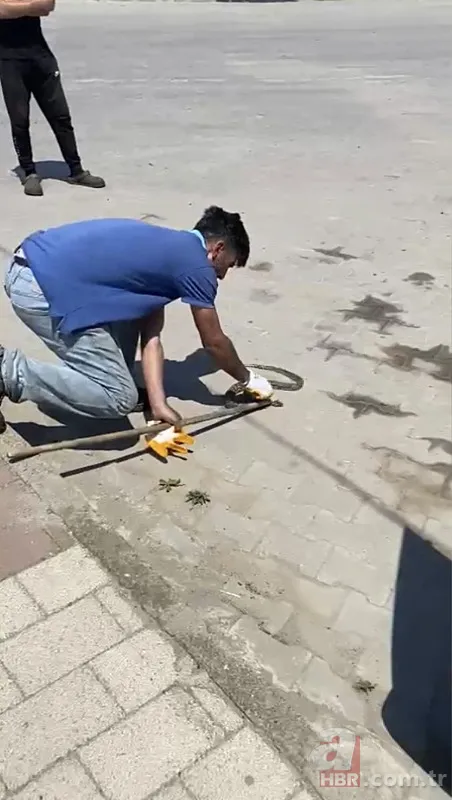 Satılık otomobilden çıkan şoke etti! 3