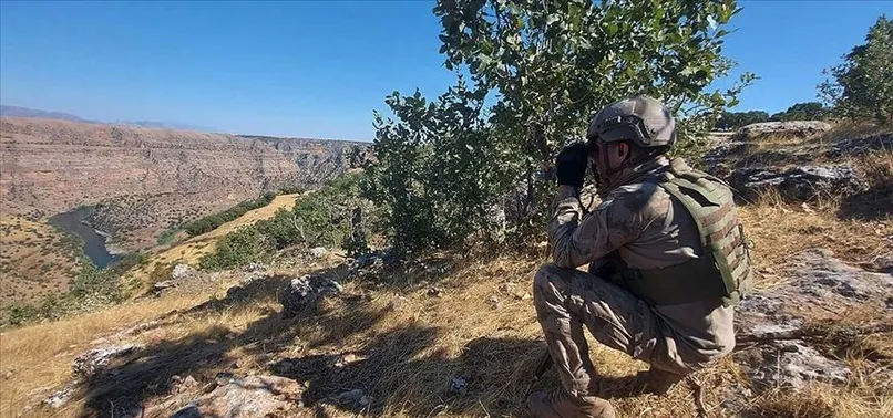 Van'da terör operasyonu! 4'ü PKK'lı 9'u FETÖ şüphelisi