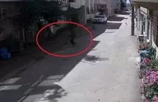 Bursa’da sokak köpekleri 3 çocuğa saldırdı