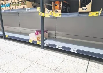 Almanya’da kıtlık korkusu! Market rafları boşaldı