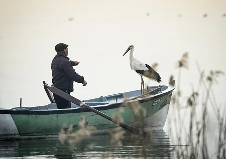 Yaren Leylek 13. yılda da göçüp geldi, Adem amcayla buluştu