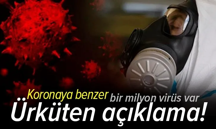 Birleşmiş Milletler'den korkutan açıklama: Koronavirüse benzer bir milyon virüs var!