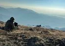 Diyarbakır’da PKK’ya ağır darbe