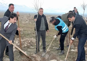 Hakkari'de fidanlar toprakla buluşturuldu