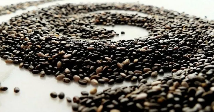 Balık yemeden vücudunuzun Omega-3 depoları dolacak! Bir kaşığı iki hafta somon tüketmiş gibi...