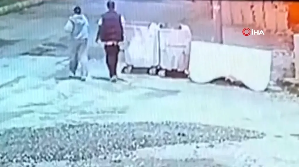 Kediye taşla vuran kadın yakalandı