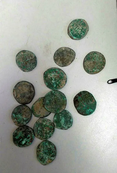 Aydın'da yakalanan teröristin üzerindeki sikkeler Bizans dönemine ait çıktı - 1